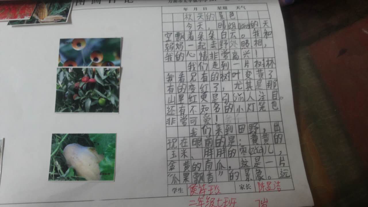 秋天的景色 今天晴朗的天空飘着朵朵白云,我和妈妈一起去野外照相,我的心情非常高兴。我们走到一片树林,我看到树叶变黄了,有的变红了。尤其是那山里红更引人注目。还有不知名的小灯笼也非常可爱。 我们来到田野,出现在眼前的是黄黄的玉米,胖胖的枣儿,金黄的南瓜,这是一片瓜果飘香的景像。远处金灿灿的稻谷像一片金色的海洋。我和妈妈被这迷人的景色吸引了,啊秋天真是个丰收的季节,也是个美丽的季节。